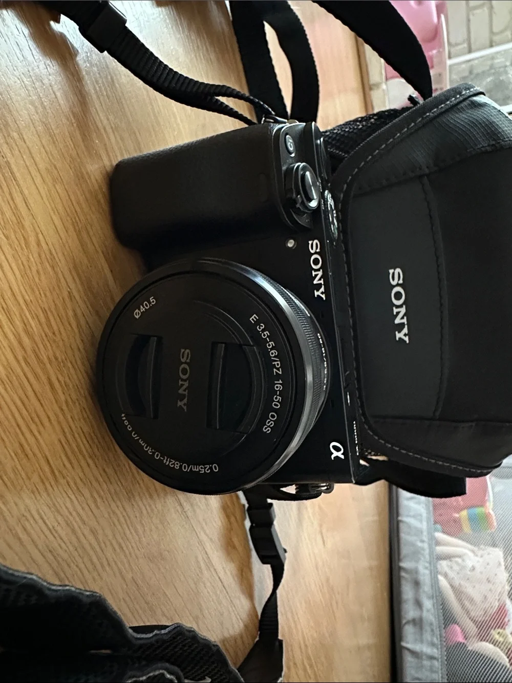 Sony Black Alpha6000 Mirrorless Camera with Black Sony Carry Case
